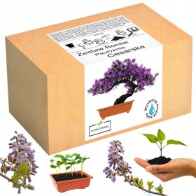    Комплект за отглеждане на бонсай пауловния императорско дърво