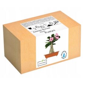    Комплект за отглеждане на бонсай Desert Rose Adenium Obesu