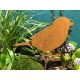  Градинска декорация птица врабче Corten Industrial