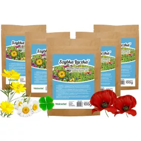    ДИВИ ЦВЕТЯ ЕКСПРЕС ЦВЕТНА ЛИВАДА БЪРЗО РАСТЕЩА ЛИВАДНА МИКС 5x100гр.