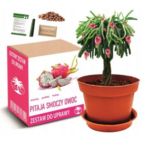  Комплект семена Диня (Sugar Baby) 1гр