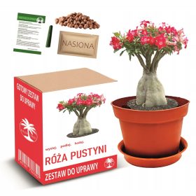    DESERT ROSE комплект за отглеждане на бонсай с цветя