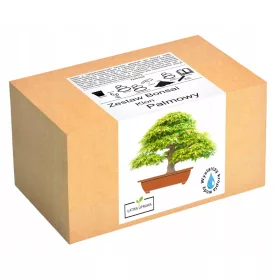    Декоративен храст, кленова палма, многогодишно растение