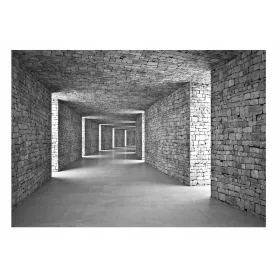   3D фототапет ЗА СПАЛНЯ, ХОЛ, Оптичен, 368x254