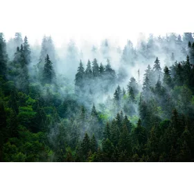   Фототапет ЗЕЛЕНА ГОРА В МЪГЛАТА 294x260 Нетъкан текстил