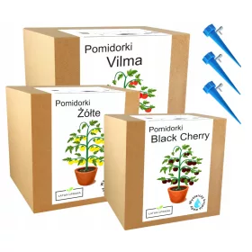    Микс от комплекти за отглеждане на семена на чери домати