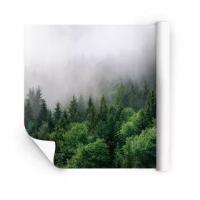   3D ИЗРАБОТКА ПО РАЗМЕР фототапет за хол, спалня, ТАПЕТИ