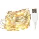  ЖИЧНИ ЛАМПИ 100 LED за USB дължина 10м