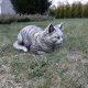  Коте Коте Градински Фигурки Котешки фигурки за градината