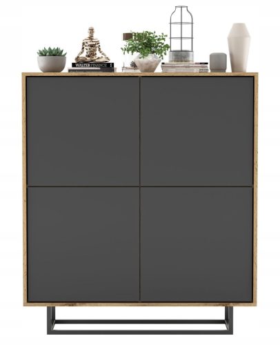  Индустриален лофт RTV Скрин с чекмеджета Wotan graphite MAT 113