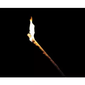   Градинска факла - Парафинова горелка PALOMA PP-64S 80 см