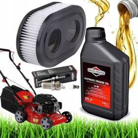    Масло за косачка Briggs & Stratton 100005E SAE30 0.6л