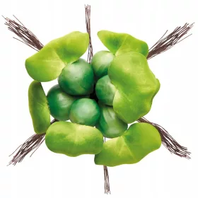    Pontec PondoHyacinth Hyacinth декорация за езерце 1 бр.