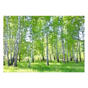   Фототапет БРЕЗИ ГОРА 3D Природа 416x254