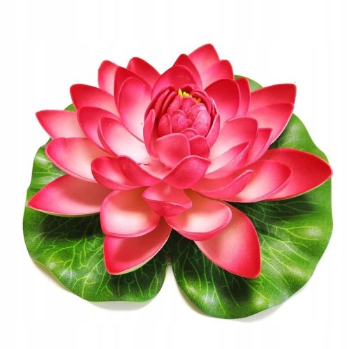  Deep Aqua Lily for Pond Red 28см