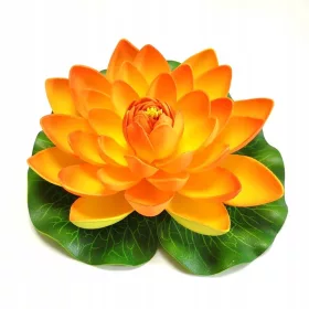  Deep Aqua Lily for Pond, оранжева, 28 см