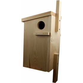  Къща за катерици