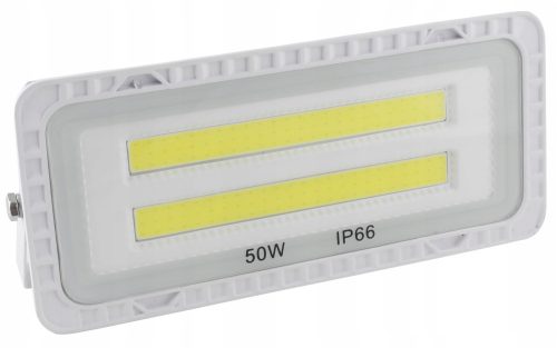Градинско осветление - Халоген студено бял 2500 lm 50 W