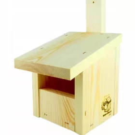    Пепеляшка тип P гнездилка, сива мухоловка