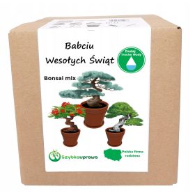    КОЛЕДЕН ПОДАРЪК ЗА БАБА МИ БОНСАИ МИКС