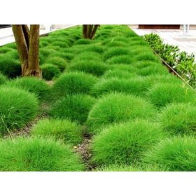    КОМПЛЕКТ МЕЧА КОЖА ОТ 10 НАСТРОЙКИ (3,30 PLN/бр.)