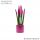  Сансевиерия VELVET TOUCHZ PINK + САКСИЯ 33СМ