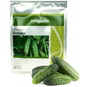    СМЛЕН ОКТОПОД КРАСТАВИЦА КОНСЕРВА ЗА БРАНЕ ХОЛАНДСКИ СЕМЕНА 500 БР.