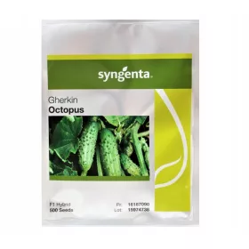    Холандска краставица Октопод 500 сем