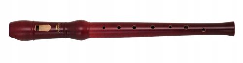  Рекордер ARS Nova 1 DZ