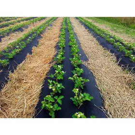   Агротекстил - Мулчиращ агротекстил (против плевели) InterOgrody черен 120 x 1600 cm 0,55 g/m²