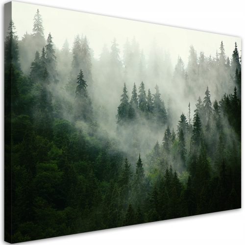 Изображение - Картина върху платно Мъглива гора природа 120x80 120x8