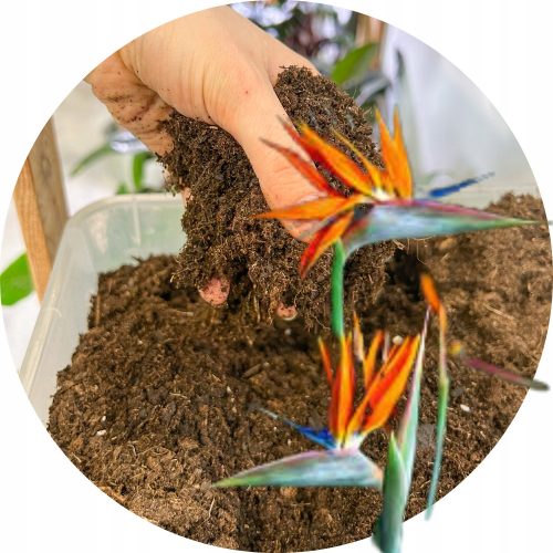 Градинска почва - Почва за Strelitzia Premium Dedicated Substrate 13L