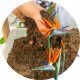 Градинска почва - Почва за Strelitzia Premium Dedicated Substrate 13L