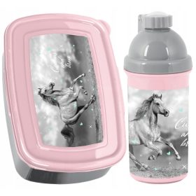    Бутилка за вода Paso 550 мл + кутия за обяд Paso 750 мл