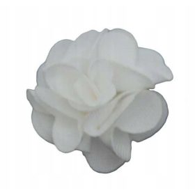  Бял лъв катарами