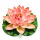  Deep Aqua Lilia for the Salmon Pond, 28 см