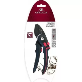  GERLACH ASSIST ANVILE BRANCH PRECURSERS