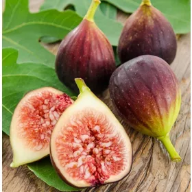    СМОКИНОВО ДЪРВО Brown Turkey Figs - разсад в саксии