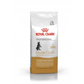    Royal Canin Pro Kitten Maine Coon 14 кг за котенца
