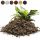 Градинска почва - Лек субстрат BIGOS Perlite Earth Mixture 15L
