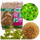  Abercrest Micro Clover Seeds 500гр