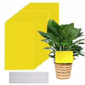    ЕКО ЖЪЛТИ ХАРТИИ ЗА САКСИЯ ЗА ЛИСТНИ ВЪШКИ 30 БР