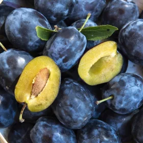    WĘGIERKA ОБИКНОВЕНИ сливи, разсад на гол корен, 130-150 см