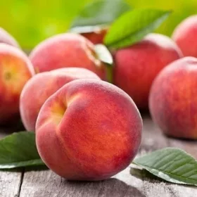    ROYALVEE праскови и нектарини, разсад на гол корен, 130-150 см