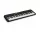  Клавиатура Casio CT-S100