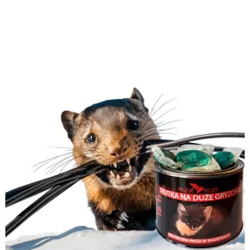    Отрова, отрова за червен плъх срещу куници