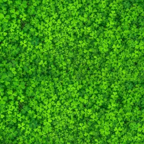    СЕМЕНА ОТ МИКРО ДЕТЕЛИНА ДРЕБНОЛИСТНА 1КГ