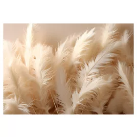  Фототапет 3D FEATHERS за спалня, хол, 312х219