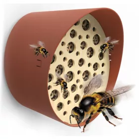  МОДЕРЕН ХОТЕЛ CAPI EUROPE BEE HOUSE