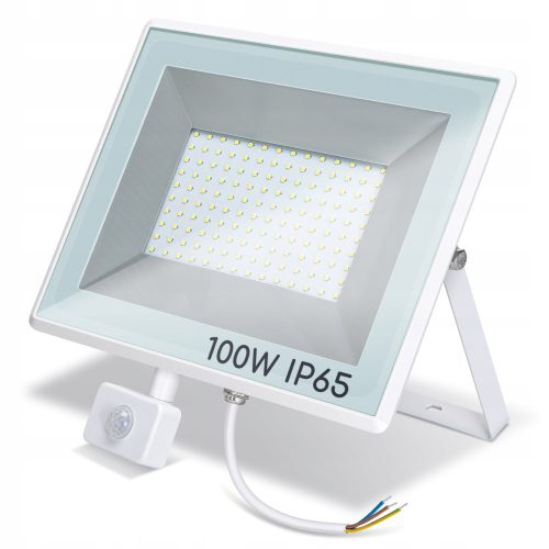 Градинско осветление - Тънък LED прожектор Aigostar, неутрално бял, 10 000 lm, 100 W